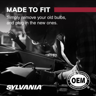 Foto 6 | Bombilla Sylvania 168 De Larga Duración En Miniatura Para Iluminación Interior - Venta Internacional.
