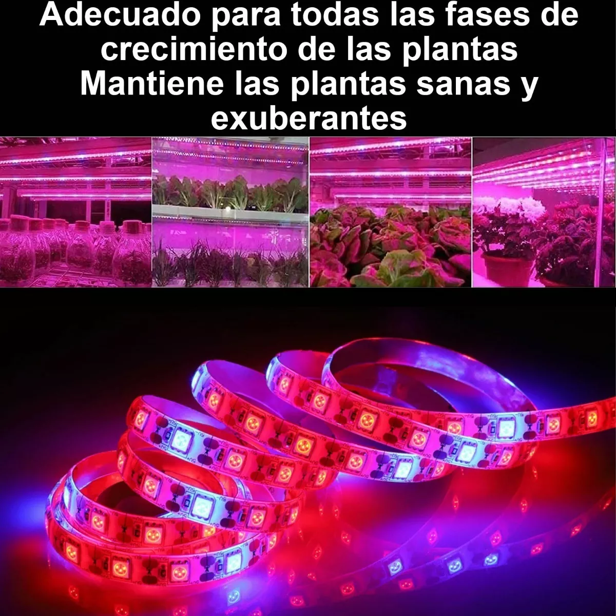 Foto 4 pulgar | Tira de Luz LED Eo Safe Imports Esi-8569 color Rosa 5M