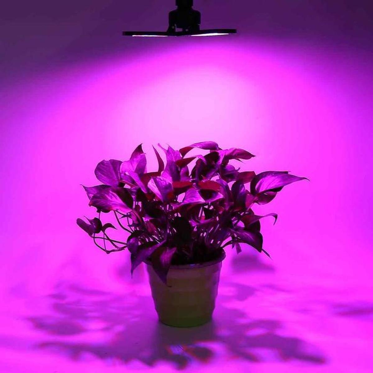 Foto 4 pulgar | Luz De Cultivo Espectro Uv Ventdepot Mxhyh-001 1 Piezavioleta Y Rosa Cálida