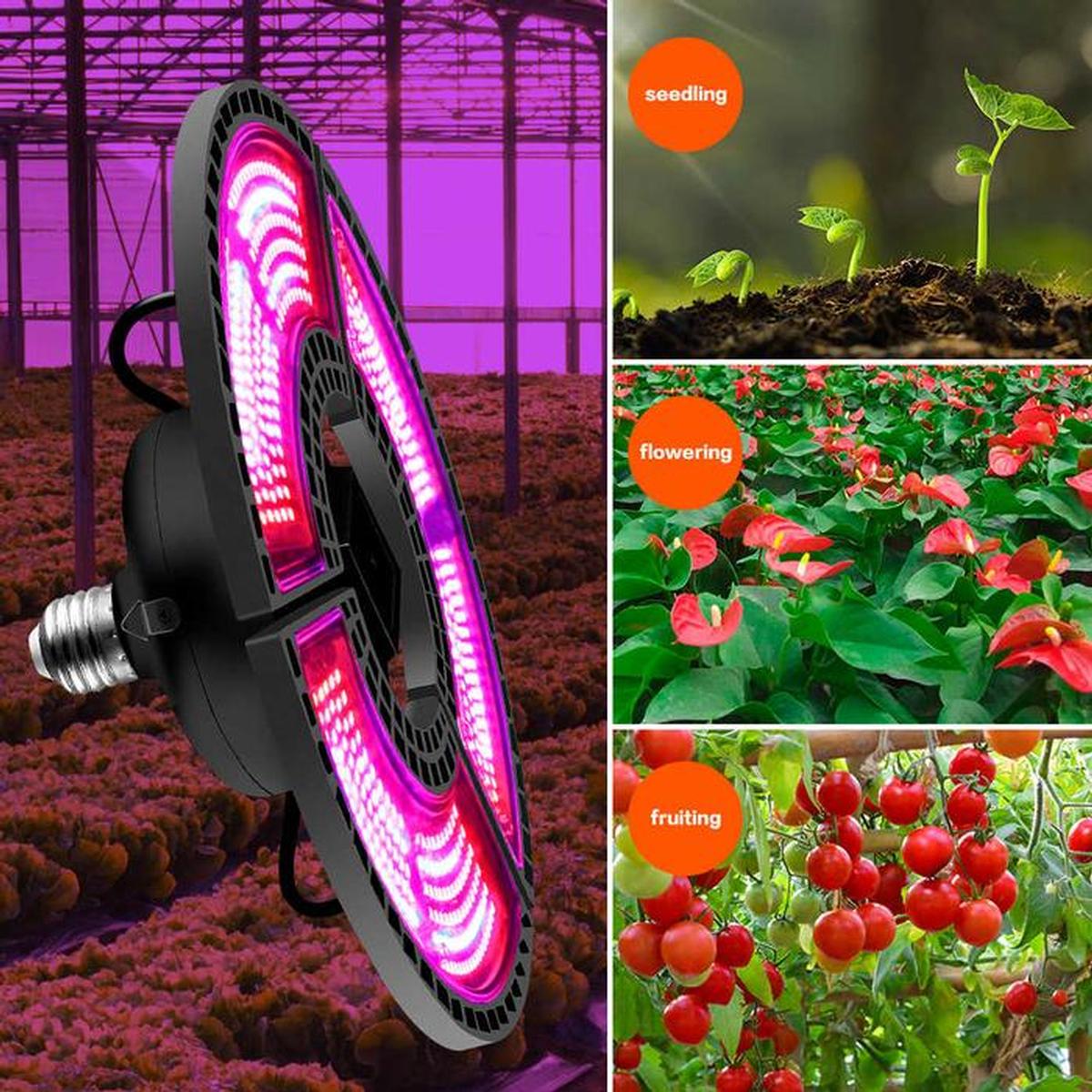 Foto 4 pulgar | Led Panel Uv De Alta Gama Ventdepot Mxhod-005 5  Piezavioleta Y Rosa Cálida