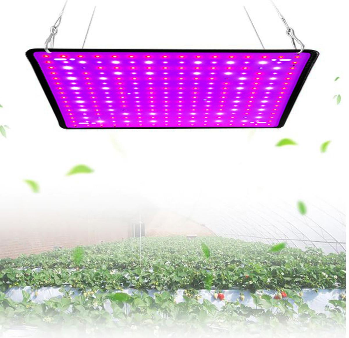 Foto 4 pulgar | Lamparas Led Uv Crecimiento Plantas Ventdepot Mxgwr-009 25 Piezasvioleta Y Rosa Cálida