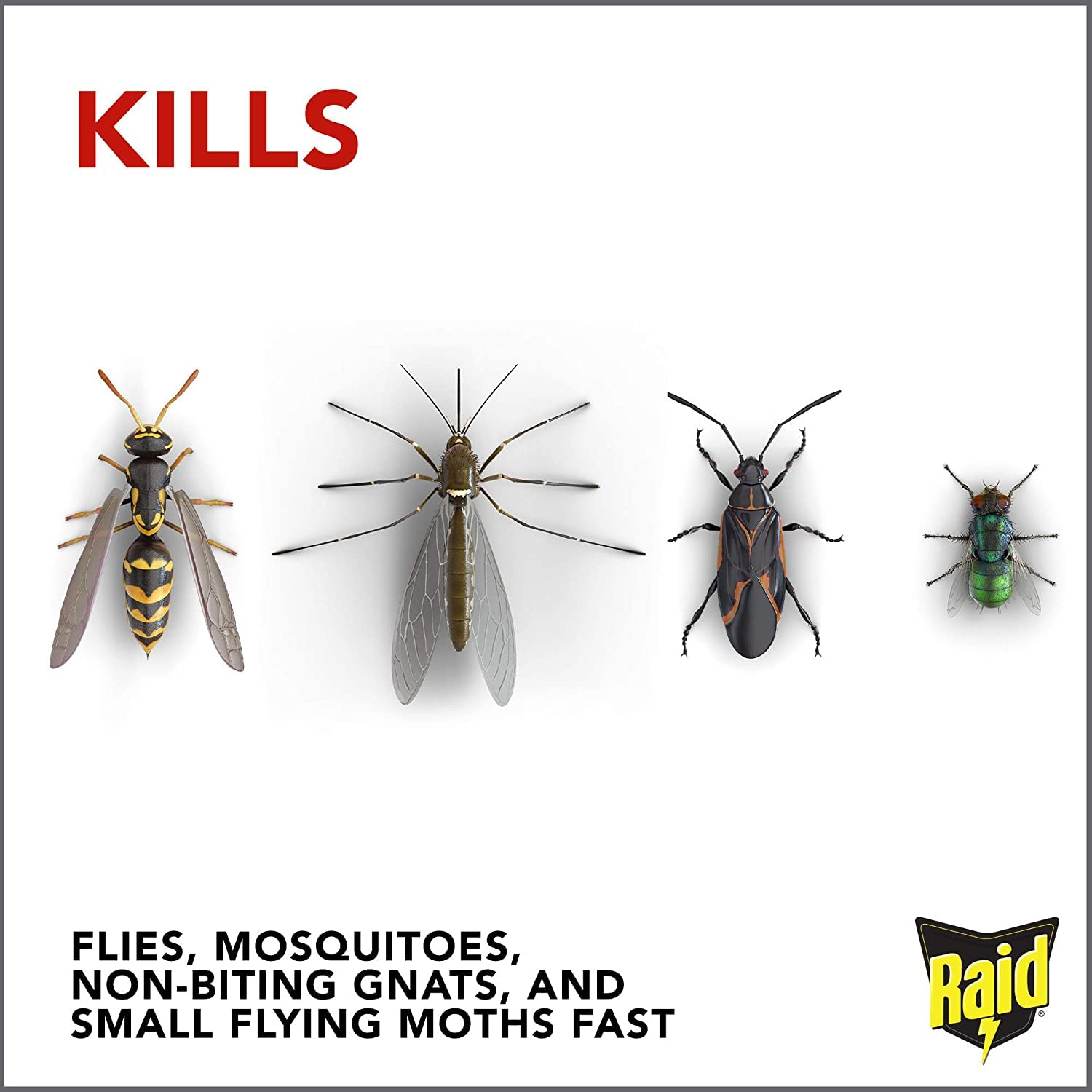 Foto 7 pulgar | Insect Killer Raid Flying, 450 Ml, Paquete De 2 Unidades, Aroma Fresco Para Interiores Y Exteriores - Venta Internacio