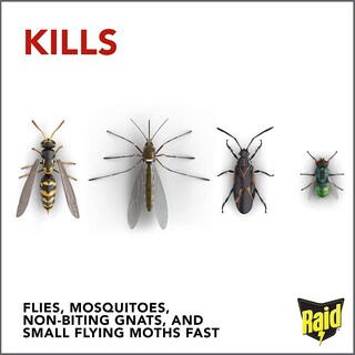 Foto 6 | Insect Killer Raid Flying, 450 Ml, Paquete De 2 Unidades, Aroma Fresco Para Interiores Y Exteriores - Venta Internacio