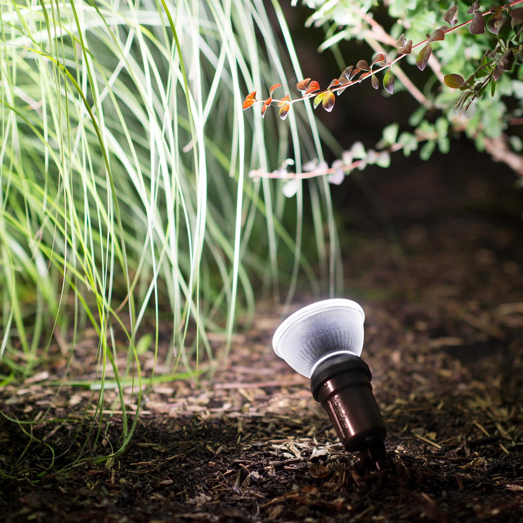 Foto 5 pulgar | Bombilla Led Philips Premium 120 W (equivalente) Par38, Paquete De 4 - Venta Internacional.