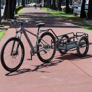 Foto 7 | Remolque para Bicicleta de Carga Gospel 20318N 100 kg R20 X 3.0 Quick Release color Negro