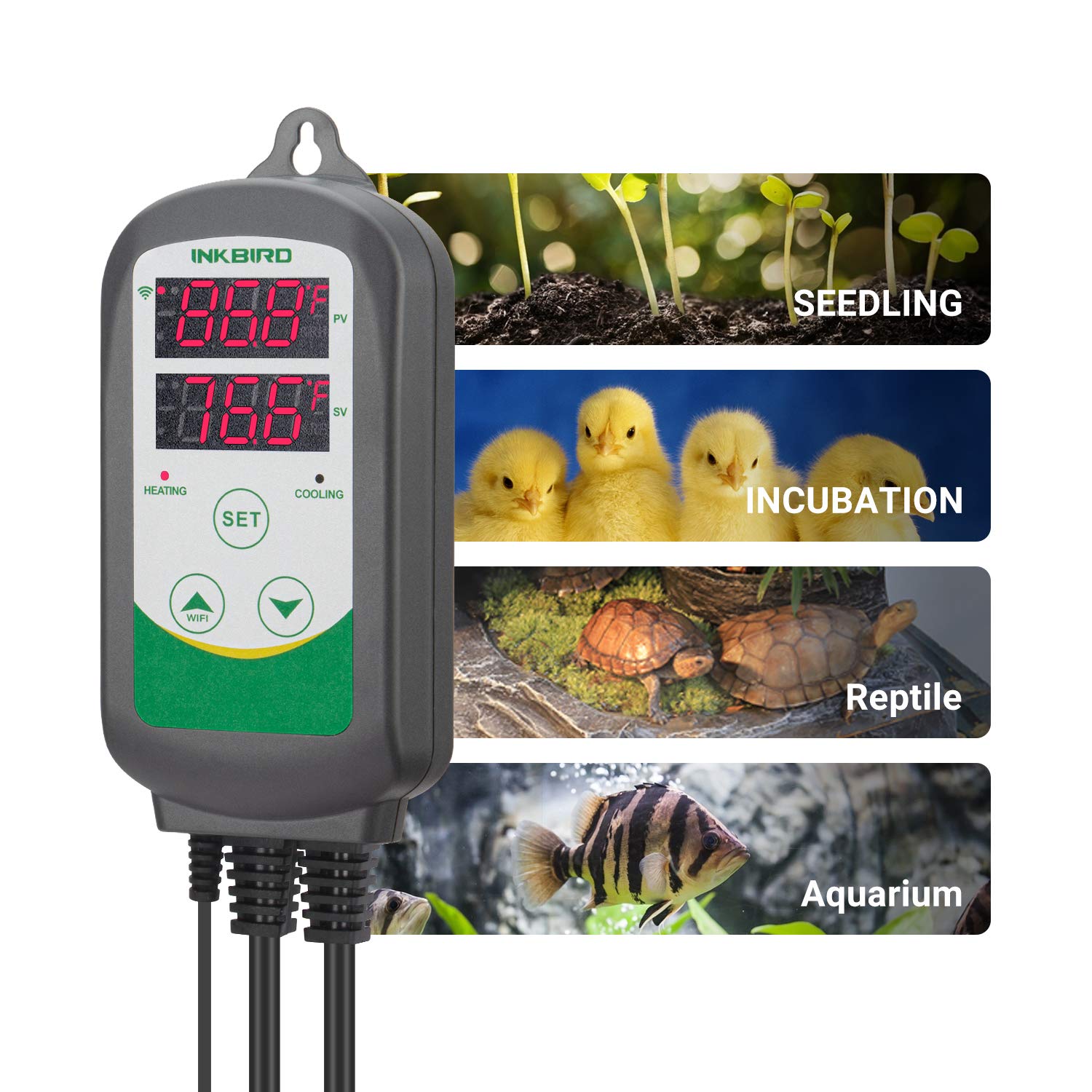 Foto 3 | Controlador De Temperatura Inkbird Wifi Itc-308 Aquarium - Venta Internacional.