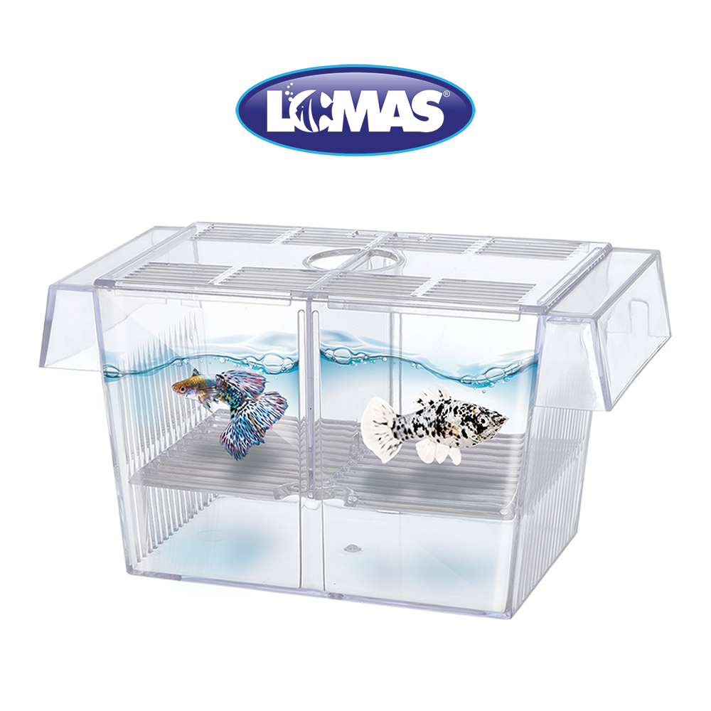 Foto 3 pulgar | Maternidad Flotante Lomas FL8430 Transparente con Capacidad de 1.4 Litros para Peces
