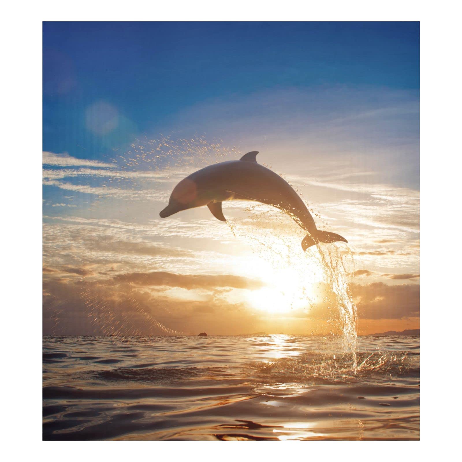 Foto 1 | Funda Magnética Para Lavavajillas Naanle Ocean Jumping Dolphin 23x26 - Venta Internacional.