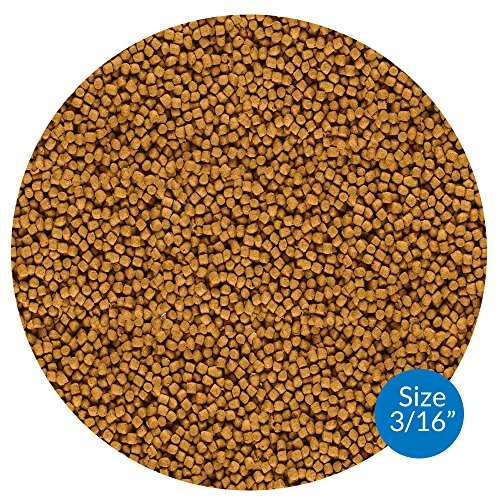 Foto 3 pulgar | Comida Para Peces Api Pond Pond Pond, Bolsa De 1,22 Kg - Venta Internacional.