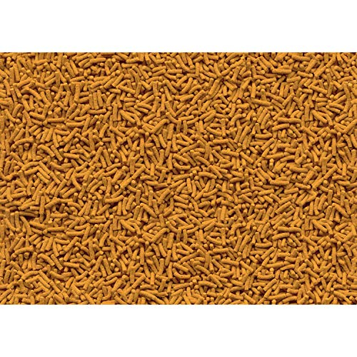 Foto 3 | Palitos Vibrantes Tetra Koi Para Alimentos Para Peces, 1,1 Kg - Venta Internacional.