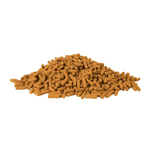 Foto 7 pulgar | Palitos Vibrantes Tetra Koi Para Alimentos Para Peces, 1,1 Kg - Venta Internacional.