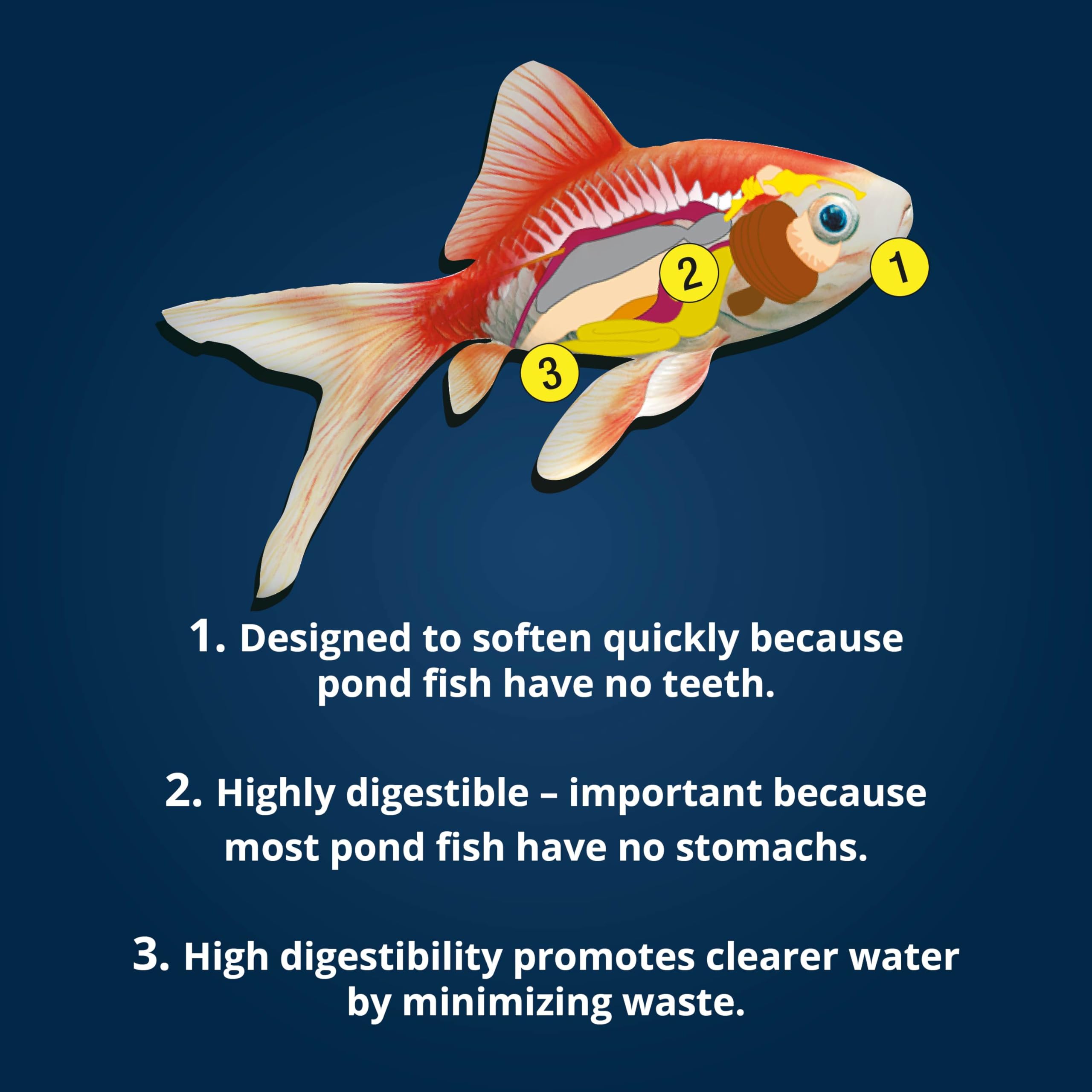 Foto 7 | La Mezcla Variada De Alimentos Para Peces Tetrapond Mejora El Color Y La Vitalidad - Venta Internacional.