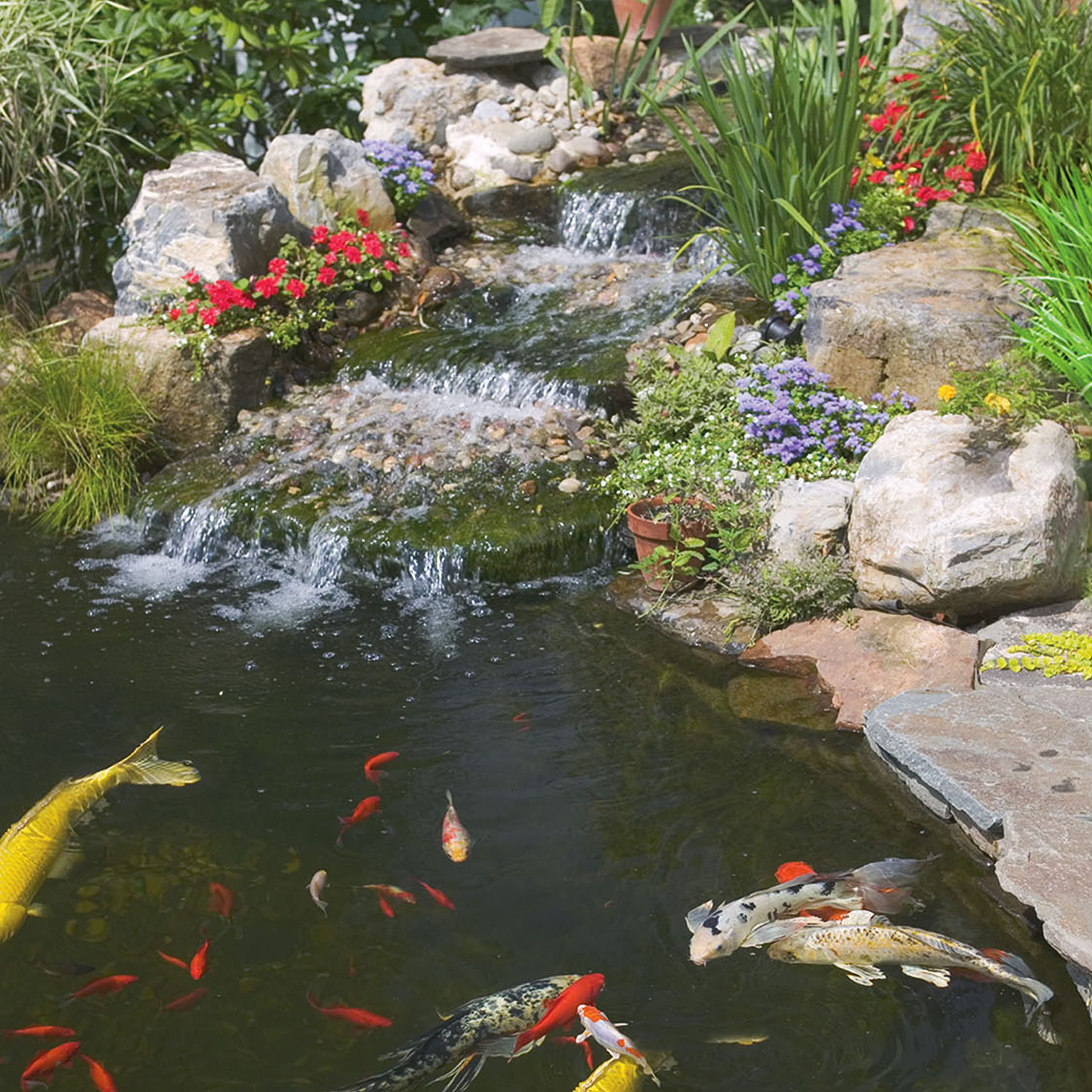 Foto 7 pulgar | Bastones Para Estanques Tetrapond De Comida Para Peces De Colores Y Koi - Venta Internacional.