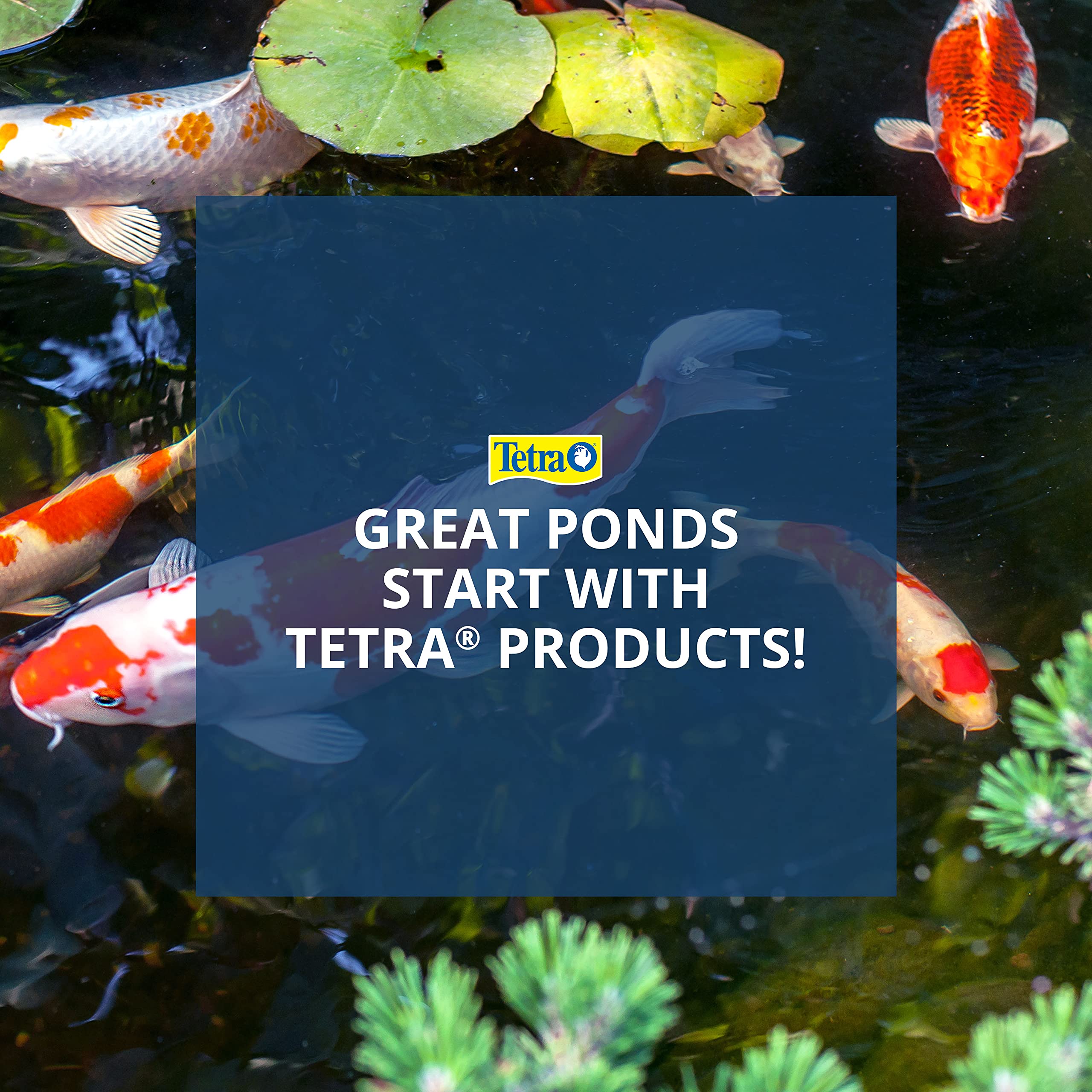 Foto 8 pulgar | Bastones Para Estanques Tetrapond De Comida Para Peces De Colores Y Koi - Venta Internacional.