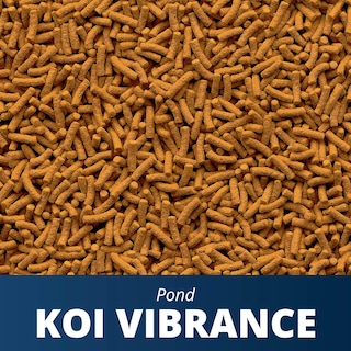 Foto 2 | Alimento Para Peces Tetrapond Koi Vibrance Soft Sticks, 2,35 Kg - Venta Internacional.