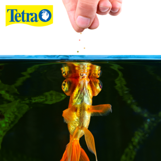 Foto 2 | Alimento para Peces Tetra Tetrafin Goldfish Pellets con 53 Gramos
