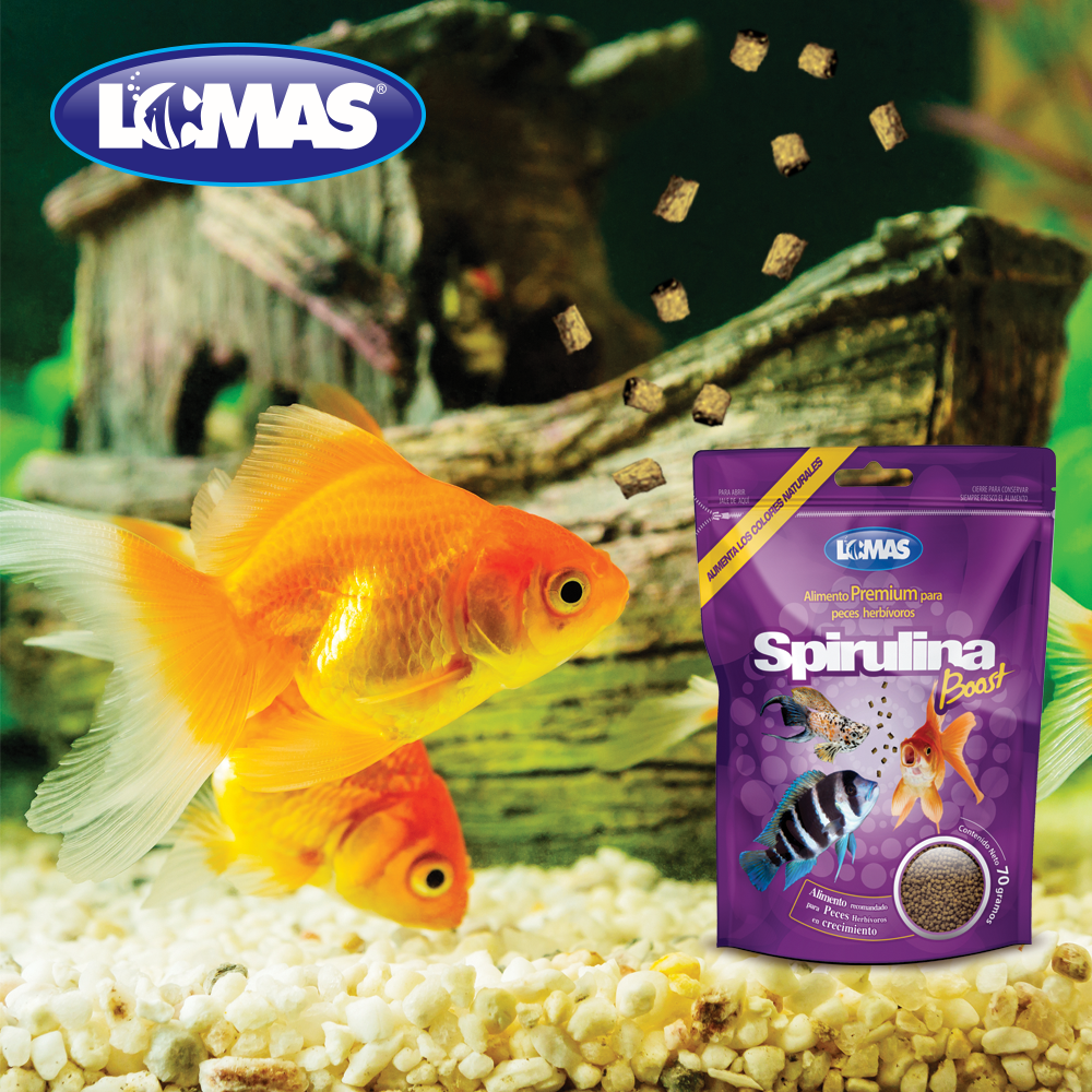 Foto 4 pulgar | Alimento para Peces Herbívoros Lomas FL2120 con Spirulina
