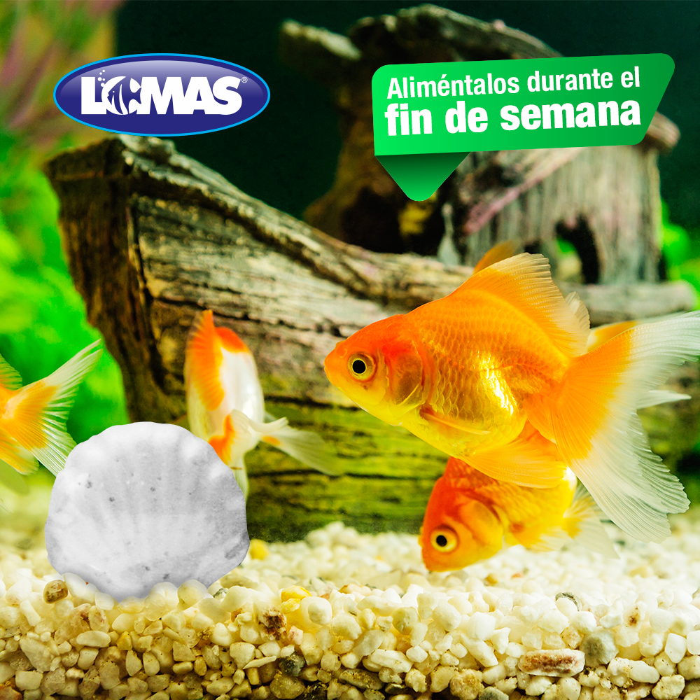 Foto 3 pulgar | Alimento de Vacaciones para Peces Lomas FL5033 con Duración de 1 Fin de Semana 4 Piezas