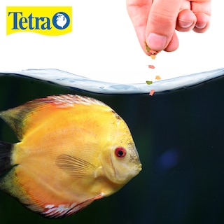 Foto 2 | Alimento para Peces Tetra TE77161 Hojuelas 62 Gramos