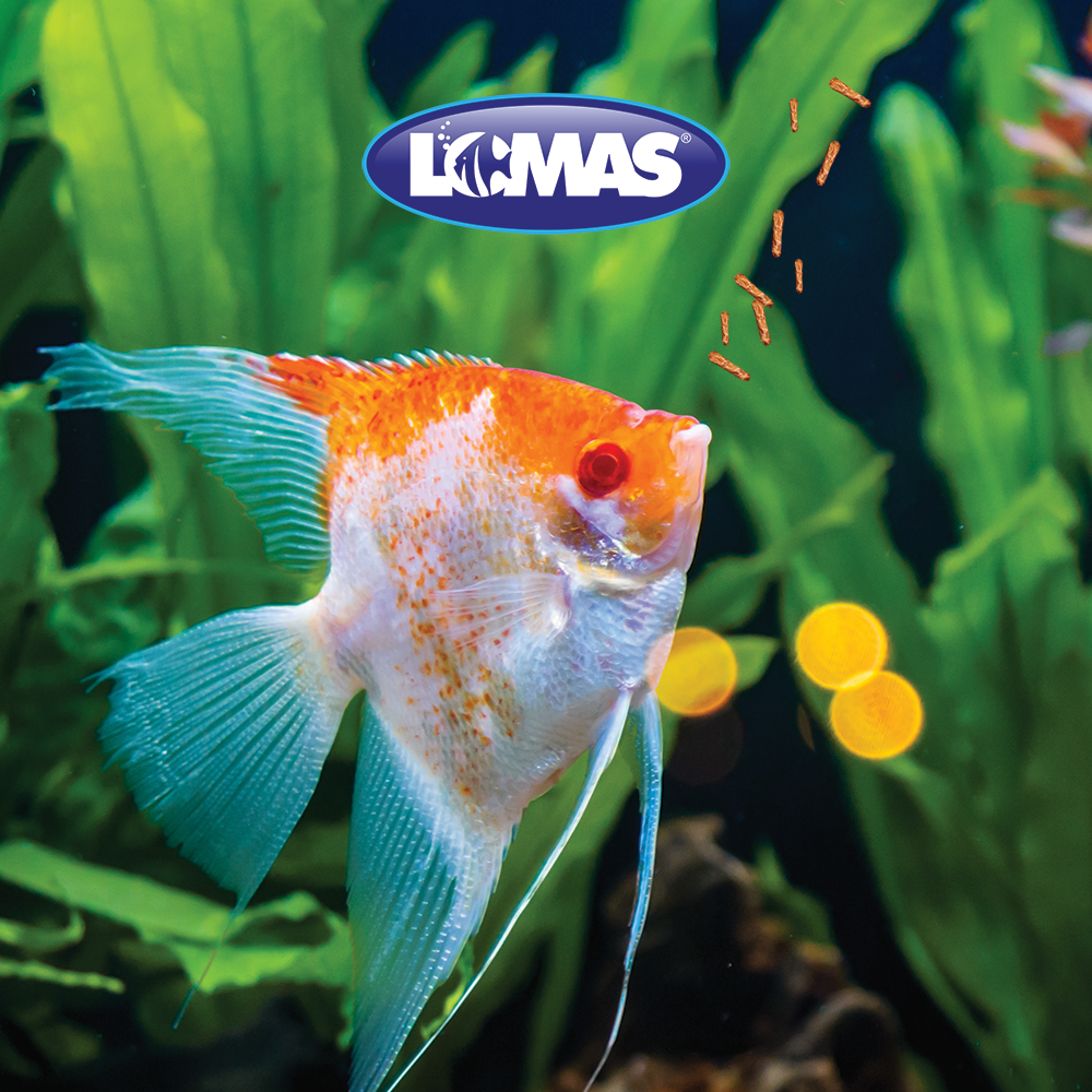 Foto 2 | Alimento Mini Pelets para Peces Tropicales Lomas WAT626 90 Gramos
