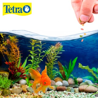 Foto 2 | Alimento para Peces Tetra Tetrafin Goldfish Flakes con 62 Gramos
