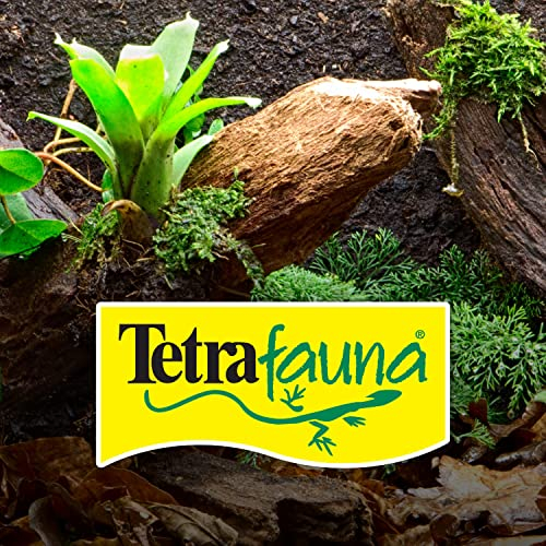 Foto 7 pulgar | Food Tetra Usa Reptomin Jumbo Para Tortugas Acuáticas, 290 Ml - Venta Internacional.