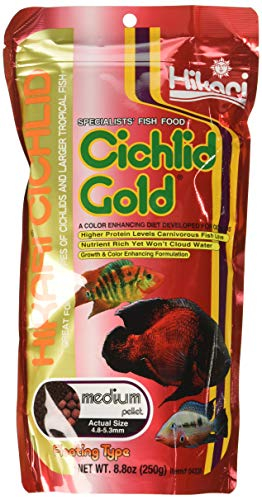 Foto 1 | Pellets Flotantes Hikari Cichlid Gold Para Alimentos Para Peces, 260 Ml (paquete De 3) - Venta Internacional.