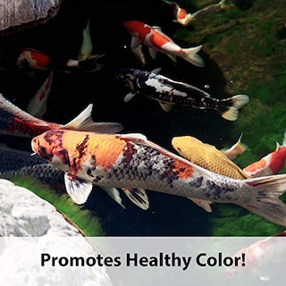 Foto 2 | Alimento Para Peces Kaytee Koi's Choice Koi Floating 4,54 Kg - Venta Internacional.