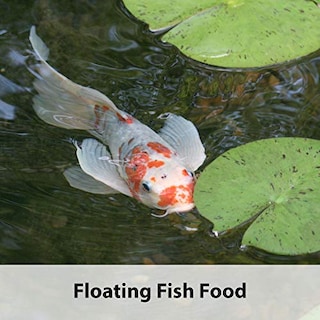 Foto 4 | Alimento Para Peces Kaytee Koi's Choice Koi Floating 4,54 Kg - Venta Internacional.
