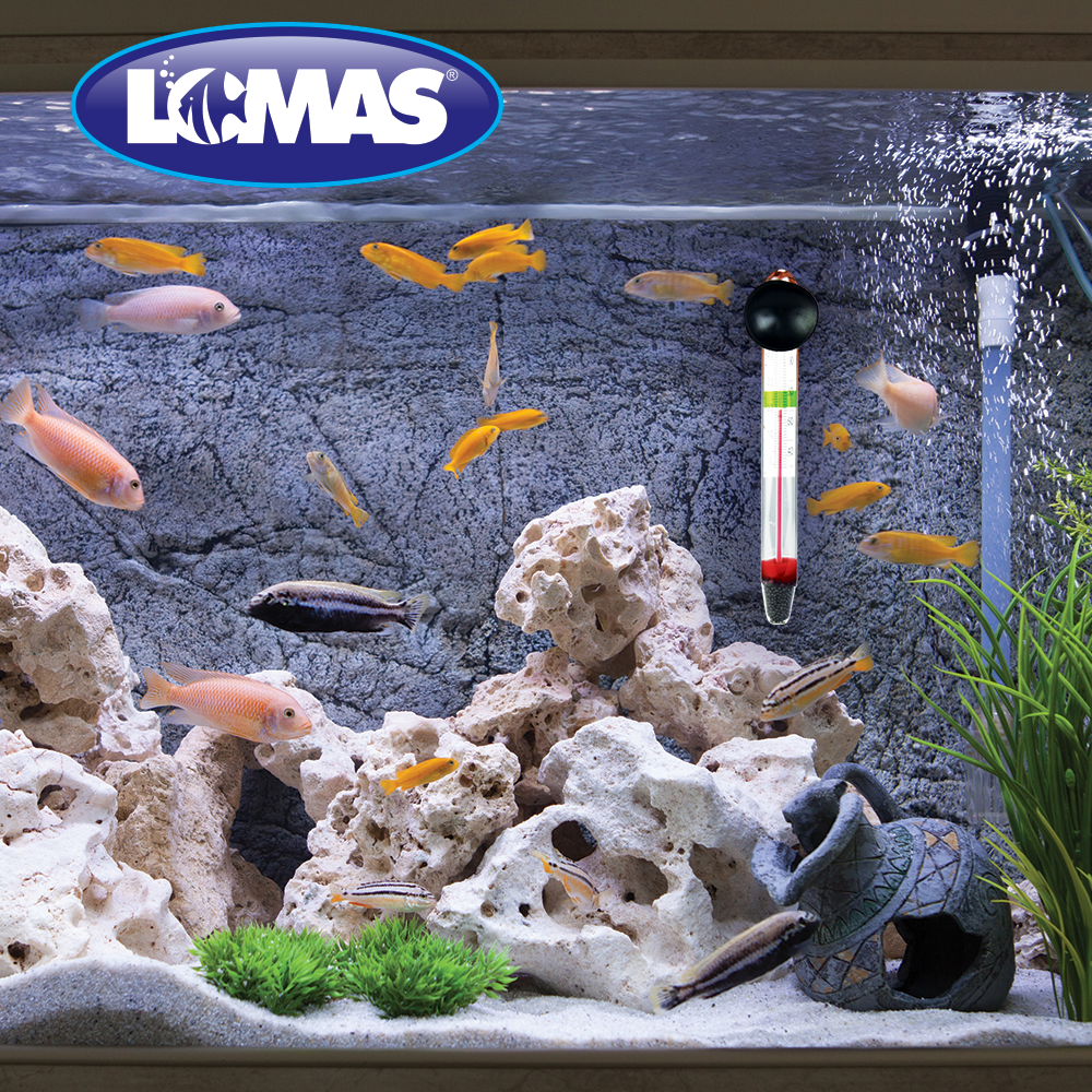 Foto 4 pulgar | Termómetro Flotante Lomas con Chupón para Acuarios