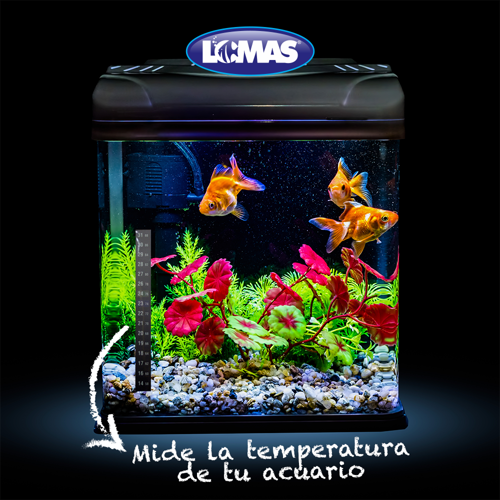 Foto 3 pulgar | Termómetro Externo Lomas en Blister para Acuario o Pecera