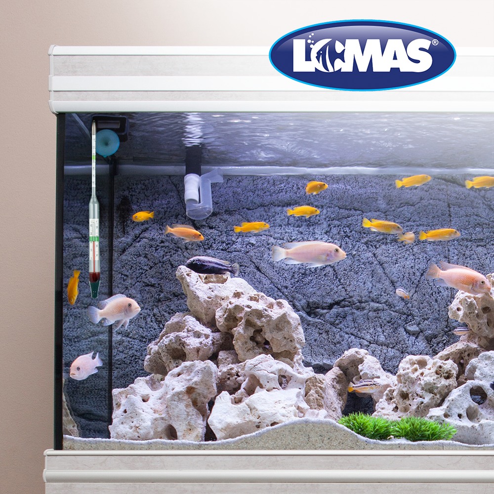 Foto 4 pulgar | Termómetro/Hidrómetro Flotante Lomas FL7402 Transparente para Acuarios y/o Peceras