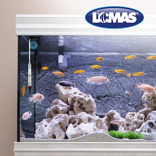 Foto 3 | Termómetro/Hidrómetro Flotante Lomas FL7402 Transparente para Acuarios y/o Peceras