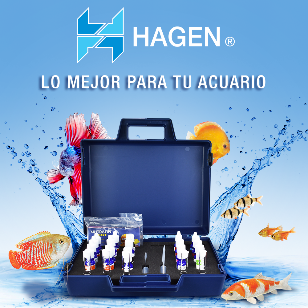 Foto 7 pulgar | Kit para Test de 10 Parámetros para Acuarios o Peceras Hagen Nutrafin