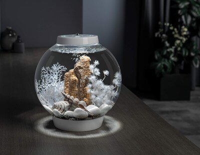 Foto 2 | Biorb Feng Shui Pebble Pack, Blanco - Venta Internacional.