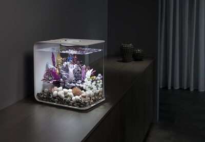 Foto 3 | Biorb Feng Shui Pebble Pack, Blanco - Venta Internacional.