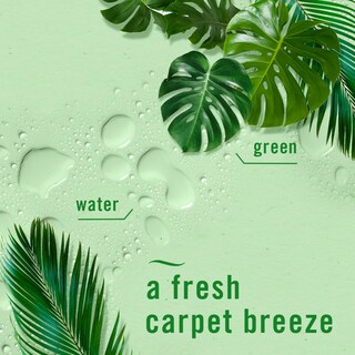 Foto 6 | Ambientador Febreze Fabric Downy Calm Rainforest Breeze 500 Ml Paquete De 2 - Venta Internacional.