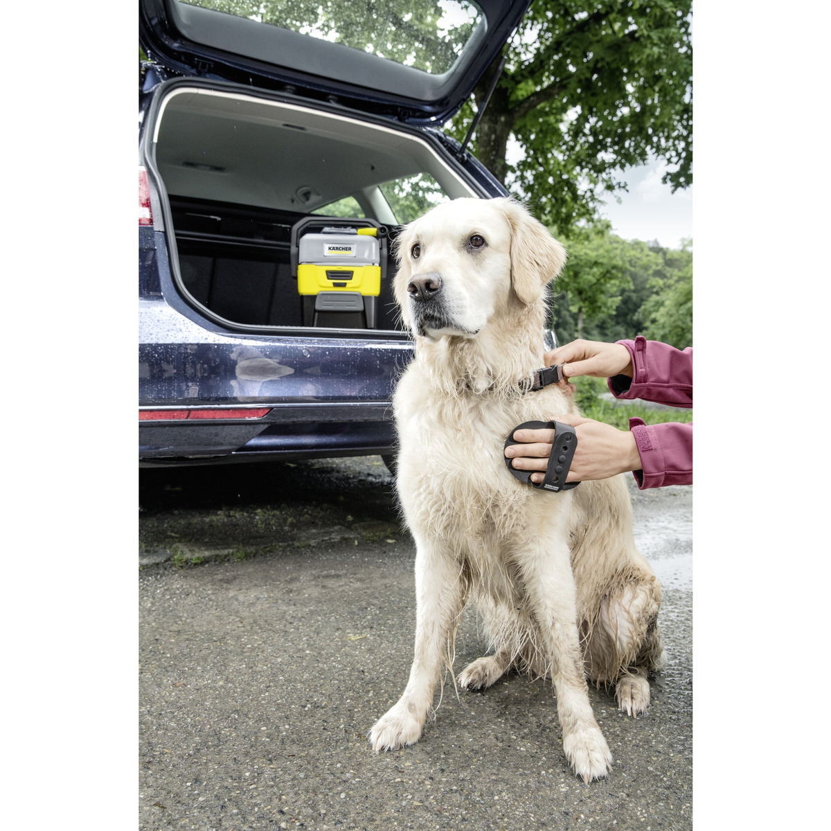 Foto 4 pulgar | Cepillo Karcher de Cerdas Blandas para Mascotas