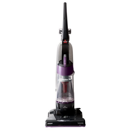 Foto 2 | Paquete de Filtros Bissell Style 1008 para Aspiradoras CleanView