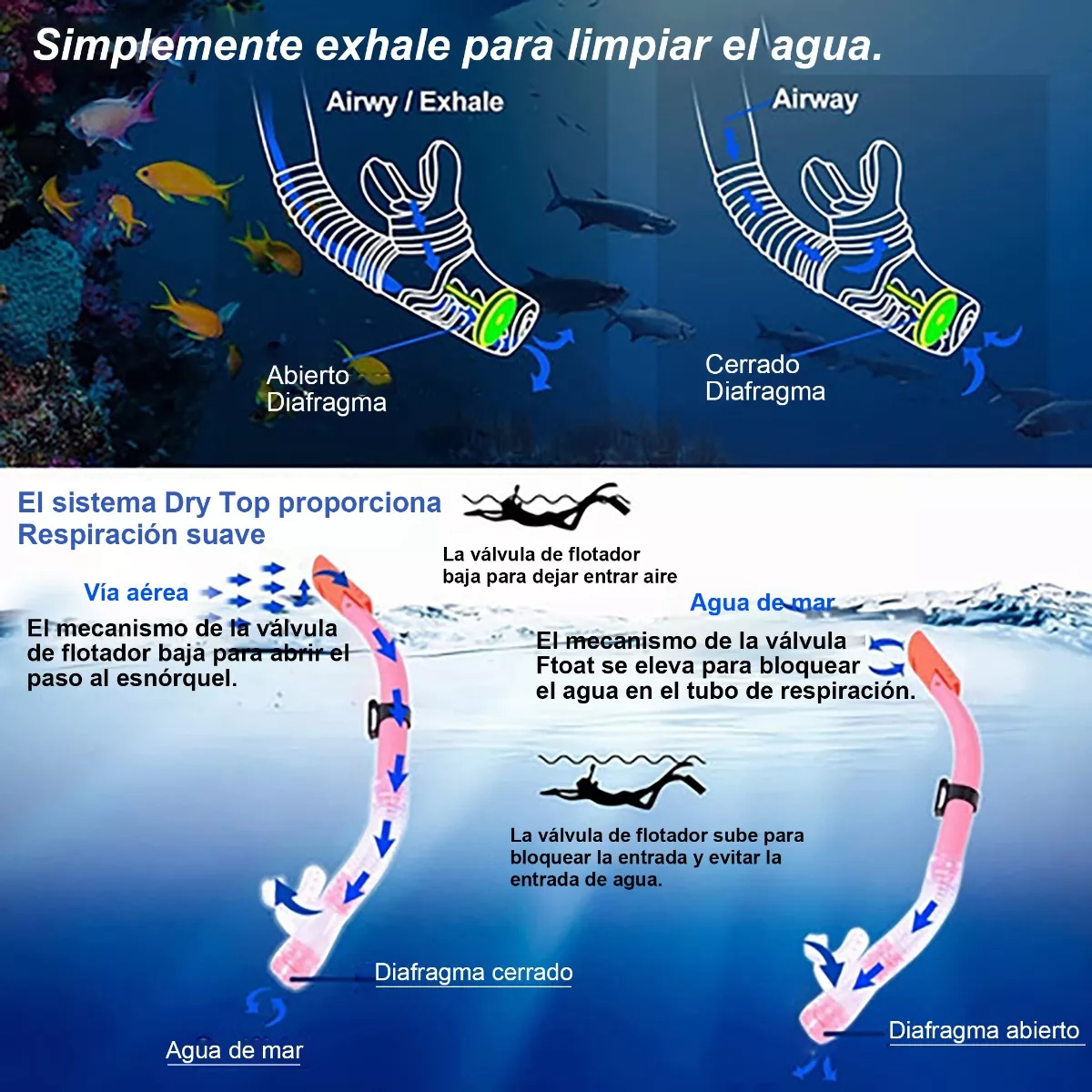 Foto 4 pulgar | Kits de Buceo Eo Safe Imports Esi7676 4 Piezas