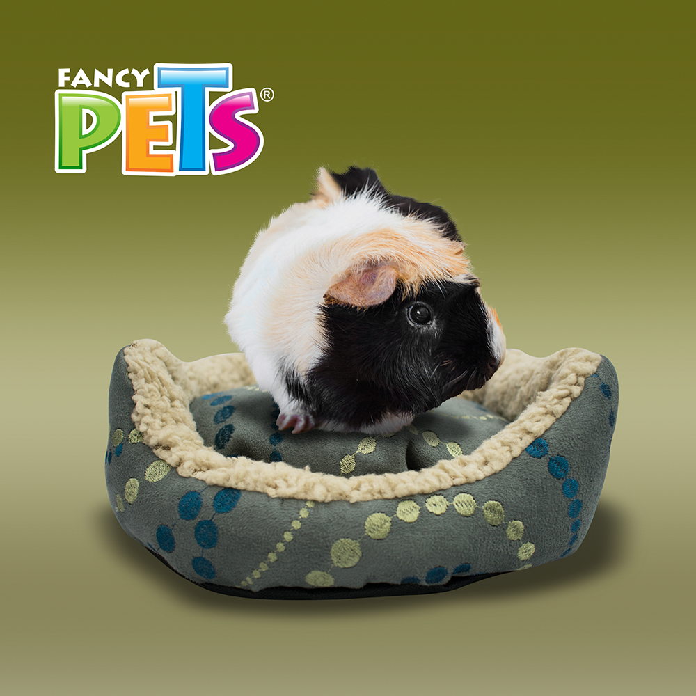 Foto 4 pulgar | Fancy Pets Cama para Pequeños Mamíferos