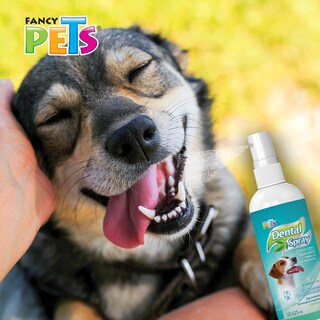 Foto 2 | Spray Dental Fancy Pets FL3774 Antisarro para Perro 125 ml