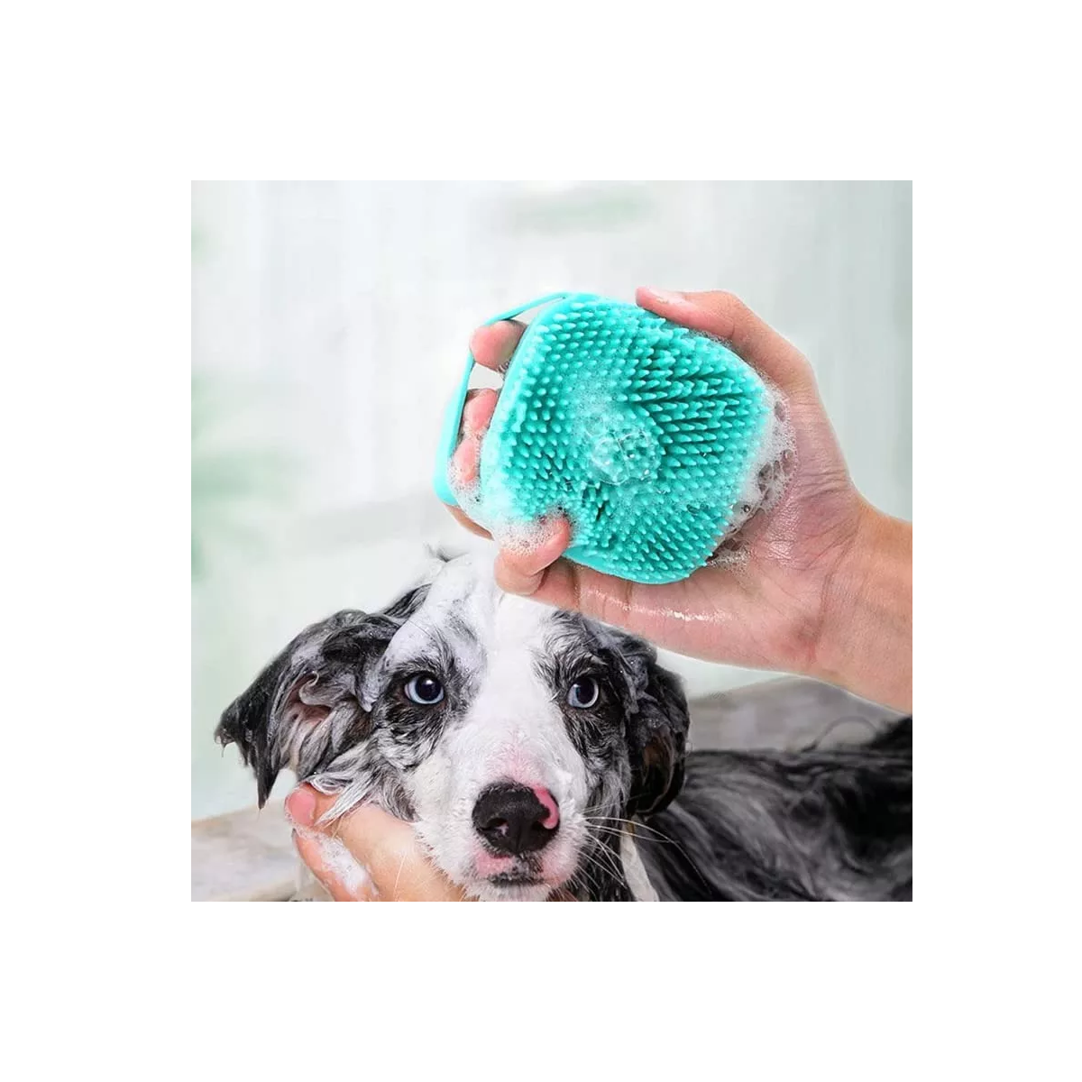 Foto 2 | Juego Cepillo Para Baño Perro Mascotas 4 Pzs.  Eo Safe Imports Esi-8832 Multicolor