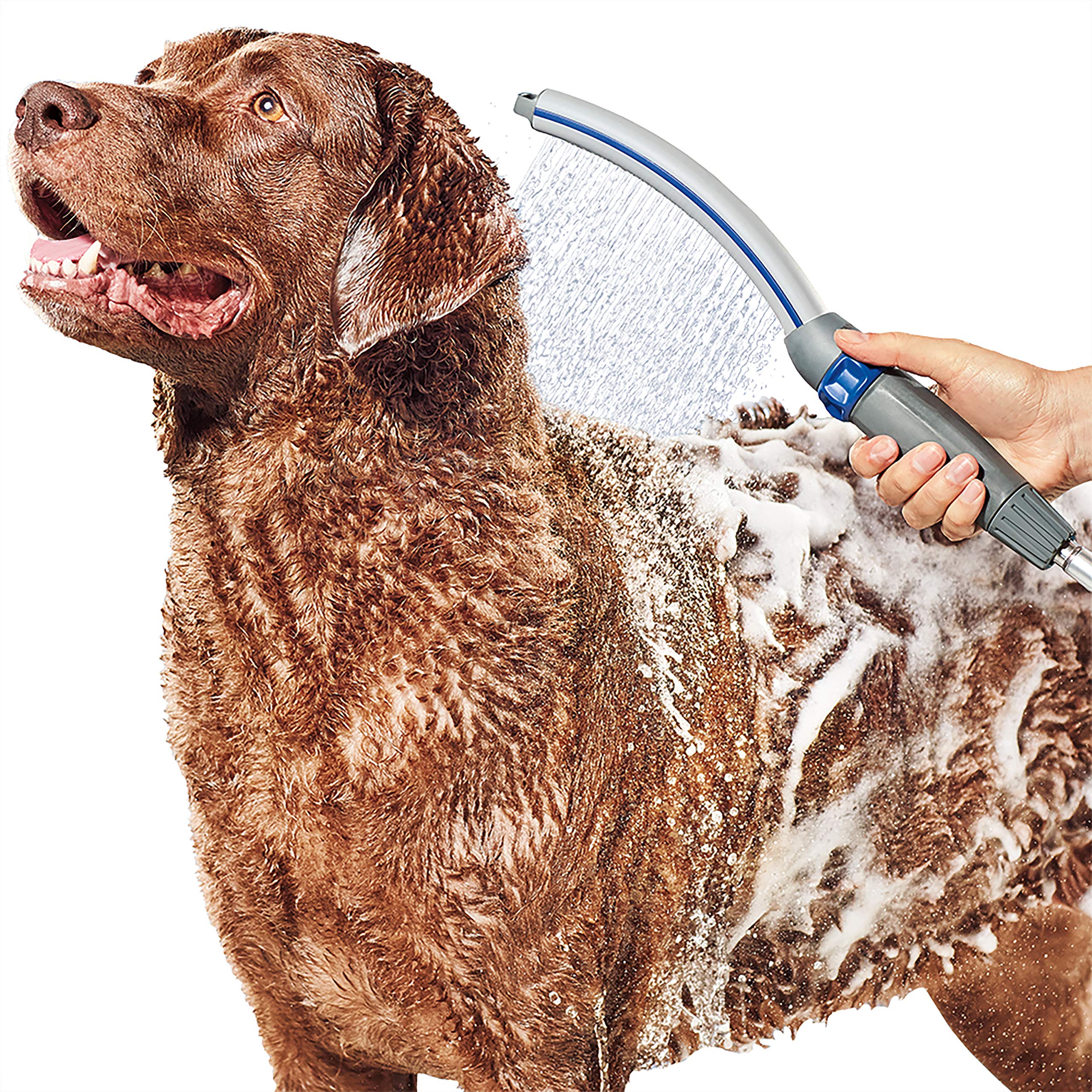 Accesorio De Ducha Para Perros Waterpik Pet Wand Pro Ppr-252e Azul/gris - Venta Internacional.