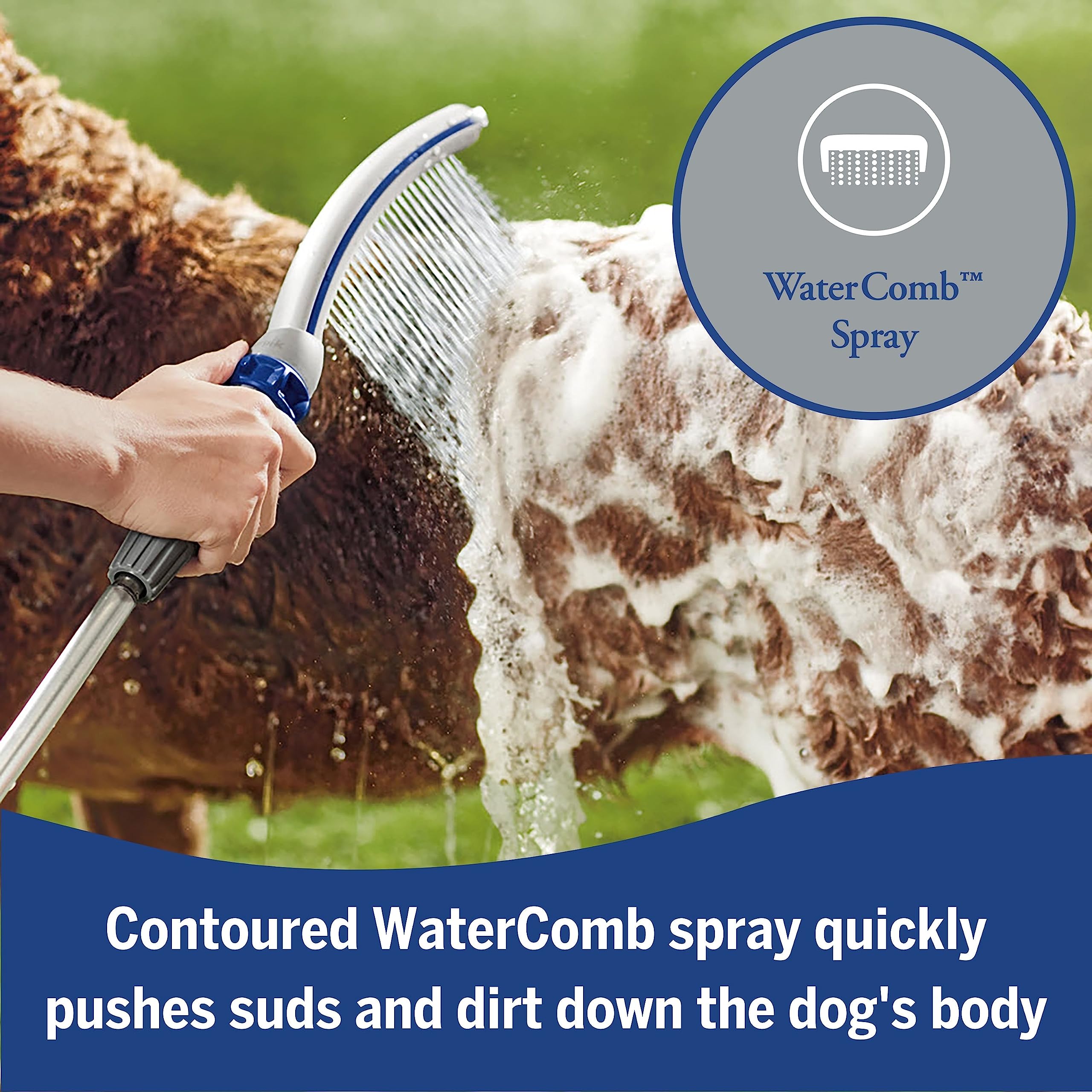 Foto 5 pulgar | Accesorio De Ducha Para Perros Waterpik Pet Wand Pro Ppr-252e Azul/gris - Venta Internacional.