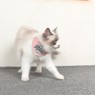 Foto 1 | Babero Saliva Toalla Para Perros Y Gatos Huoguo Talla S Denim Pode - Venta Internacional.