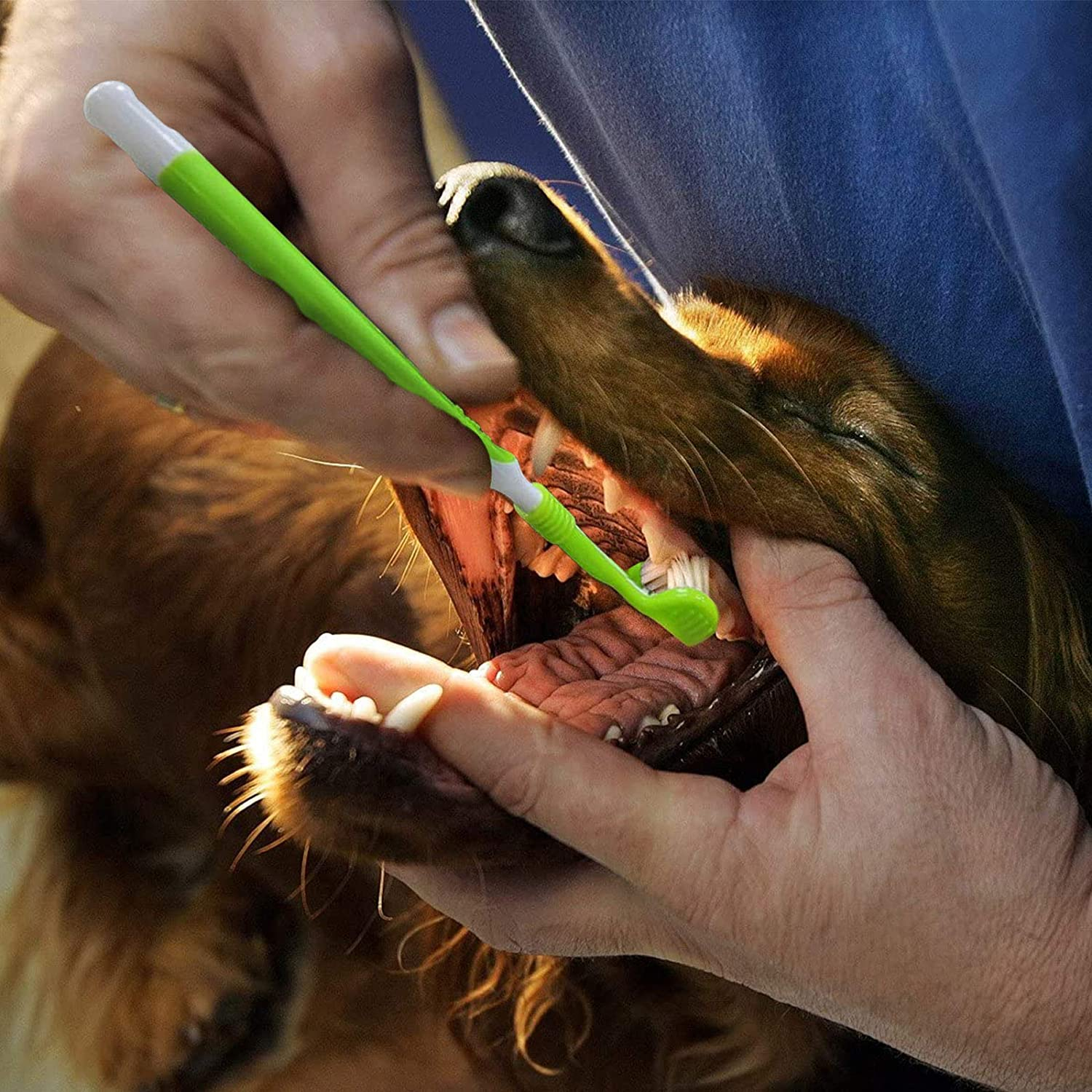 Foto 3 pulgar | Juego De Cepillos De Dientes Jieyou 7 Piezas Para Perros Y Gatos - Venta Internacional.
