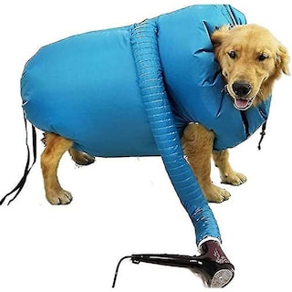 Foto 3 | Kit De Secado De Accesorios Para Secadores De Perros Pequeños, Medianos Y Grandes - Venta Internacional.