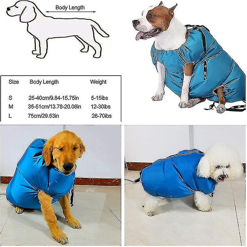 Foto 6 pulgar | Kit De Secado De Accesorios Para Secadores De Perros Pequeños, Medianos Y Grandes - Venta Internacional.