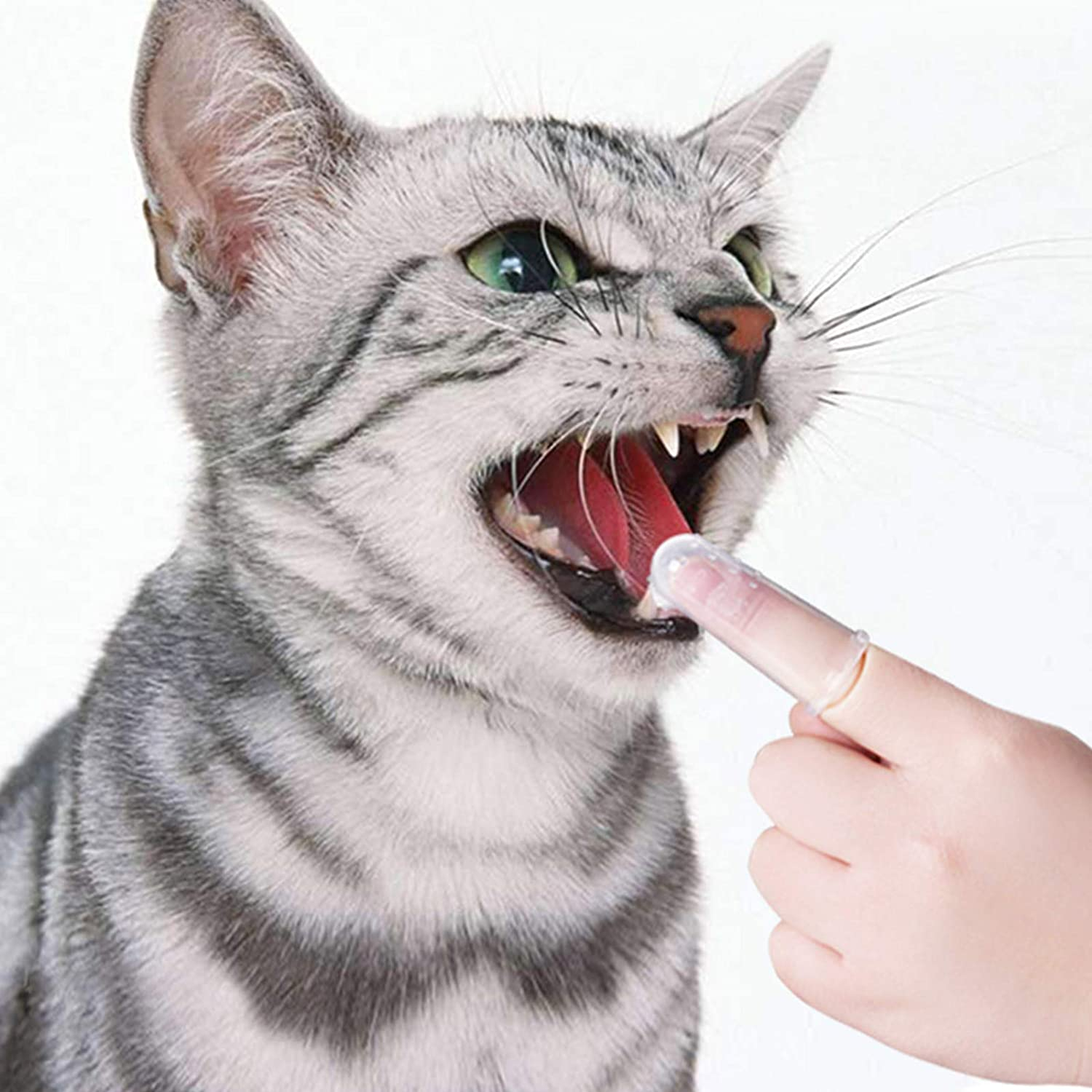Foto 5 | Cepillo De Dientes Para Mascotas Jieyou Soft Silicone Finger Para Perros Y Gatos - Venta Internacional.